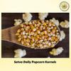SatvaDaily Pop Corn Kernels 100g - Big Size | High Expansion, A Grade Makkai Popcorn view 2