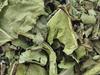 A D Food & Herbs Dandelion Leaves Powder, Edible and Pure (500 Gms) view 2