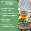 Asian Herbs Ginger Green Tea - Aiding Digestion, and Promoting Balance | Natural Herbal Wellness Blend (30 Tea Bags) view 2