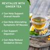 Asian Herbs Ginger Green Tea - Aiding Digestion, and Promoting Balance | Natural Herbal Wellness Blend (100grams) view 2