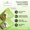 Herbal Spirit Tulsi Powder & Giloy Powder Organic | Guduchi Powder & Tulsi Powder for Drinking | Dried Tulsi Leaves & Telagapindi Powder | Tulsi & Giloy Churna Powder | Tippateega Powder | 250gm each view 2
