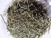 Organics Chirata - chirayata Leaves, Bitter Stick, Nilavembu, Helps Control Diabetes - 200gms view 3