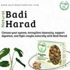 Ayurdaanta Herbs - Harad Badi|Bada Harra | Haritaki Badi|Yellow Terminalia Chebula Natural | Badi Harad Whole | Aralu | Inknut | Haritaki | Kadukkai |Harar|Karakkaya | |  |   |  100 Gram view 4