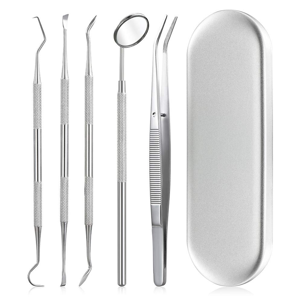 HANNEA 5Pcs Teeth Cleaning Tools Dental Kit with Storage Box Stainless Steel Teeth Hygiene Set with Dental Mirror Dental Tartar Scraper Dental Probe for Plaque Tartar Removal for Personal & Pets Use