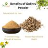 Bionest Herbals Gokhru Powder - 100 gm | Tribulus Terrestris | Gokshura Churan | Nerunji Mull | Energy & Stamina Enhancer | Boosts Reproductive Health view 4