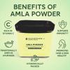 Heilen Biopharm Amla Fruit Powder (Indian Gooseberry)  100 g | Spray Dried, Pure & Natural | Rich in Vitamin C & Fiber | For Hair, Skin & Wellness view 4