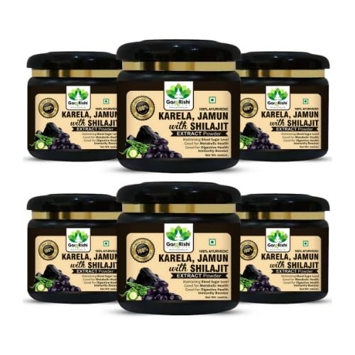 GargRishi Karela Jamun with Shilajit Powder 1200gram Natural Blood Sugar Management & Stamina Booster | Blend of 14 Potent Ayurvedic Herbs for Energy and Immune Support | Vitality & Digestive Health (1200 Gram, 6, count)