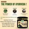 GargRishi Karela Jamun with Shilajit Powder 1200gram Natural Blood Sugar Management & Stamina Booster | Blend of 14 Potent Ayurvedic Herbs for Energy and Immune Support | Vitality & Digestive Health (1200 Gram, 6, count) view 2