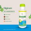 Cure Herbal Remedies Digicure Powder - Herbal Digestive Health Supplement | Supports Bloating, Acid Reflux, and Indigestion Wellness 100 gm (Pack of 2) view 2