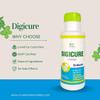 Cure Herbal Remedies Digicure Powder - Herbal Digestive Health Supplement | Supports Bloating, Acid Reflux, and Indigestion Wellness 100 gm (Pack of 2) view 3