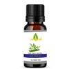 ALOE VERA Oil 250ML For Hair Growth|Skin Care|Body Pain view 1