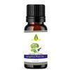 Angelica Root Natural Essential Oil 50ML HairGrowth|Skin Care|Body Pain view 1