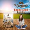 Groly Bhumi Amla Powder/Churn 100 gm | Organic Ingredient Extract For Healthy Liver Functioning And Digestive Strength | Enriched With Essential Nutrients | Amla Powder for Hair, Drinking & Eating view 4