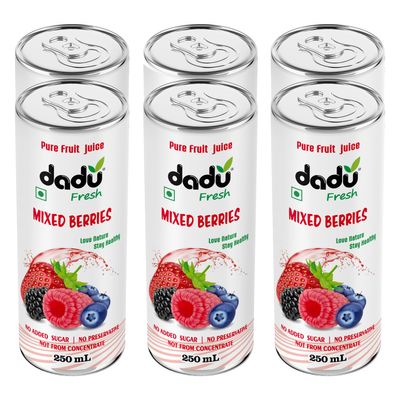 Dadu Fresh Mixed Berries Juice | Antioxidant-Rich Blend with Strawberries, Blueberries & More | Supports Heart Health, Immune Boost & Skin Vitality | No Added Sugar - 250 ML (Pack of 6)