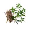 Ayurvedic Neem Sticks - Natural Organic Chew Sticks for Healthy Teeth & Gums | Pack of 20 | Fresh Breath & Toothache Relief view 1