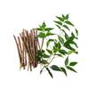 Ayurvedic Neem Sticks - Natural Organic Chew Sticks for Healthy Teeth & Gums | Pack of 20 | Fresh Breath & Toothache Relief view 3