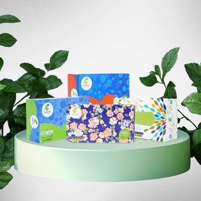 Century 2 Ply 100% Virgin Pulp Soft Facial Tissue Box | Car Tissue - 100 Pulls Per Roll (Pack of 4)