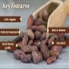 999 Chocolat Organic Roasted bean 1KG - Sun-Dried, Fermented Roasted Cacao Beans for Eating, Baking, Chocolate Making | High in Antioxidants | No Preservatives | No Artificial Flavour view 3
