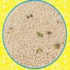 HANUMAN SAHU GAJAK UDYOG Tilpatti Gajjak Patti Beawar Til Patti Healthy Snacks and Sweets, No Added Preservatives and Colours and Flavours (Thin Layer & Soft Til Patti) 1000gm Box view 3