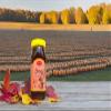 Adsans Ajwain honey Carom Honey Raw Organic Natural Pure Unprocessed NMR Tested Unpasteurized Unheated 1kg Glass Jar Pack of 1 view 2