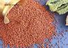 Beons Organic (Palm Sugar/Panam Kalkandam1000gm and Ragi Powder 500gm) Combo Pack view 4