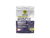 Asylum Premium Whey Protein with Real Choco Chip Inside Chocovelvet |1kg, 25 Servings | With Genuine Lab Reports | Muscle Building & Recovery | Increased Muscle view 2
