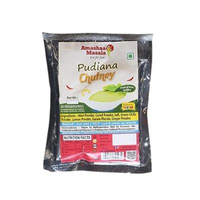 Amashaa Masala Pudina Chutney Premix - 250g | Ready to Cook | chutney | chutni | pudina