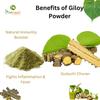 Bionest Herbals Giloy Powder - 100 gm | Tinospora Cordifolia | Guduchi | Amrutha Balli | Immunity Booster & Anti-inflammatory | Fights Fever view 3