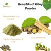 Bionest Herbals Giloy Powder - 800 gm | Tinospora Cordifolia | Guduchi | Amrutha Balli | Immunity Booster & Anti-inflammatory | Fights Fever view 3