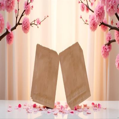 GLOBEADO Brown Paper Cover(40GSM) - Fold Top Eco Friendly Food Grade Paper Bags For Packing Carry Bags Grocery, Take Away Craft Paper Multiple Size (8.25 X 9 INCHES, 100, count)