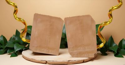 GLOBEADO Brown Paper Bags (40 GSM) 100 Pcs  Eco Friendly Carry Bags, Fold Top Grocery Paper Bags, Biodegradable & Recyclable Takeaway Packaging (10 x 12 Inches, Bulk Pack)