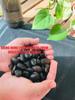 kala kaunch powder - 200g pack Of 1 view 2