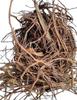 CAREQUE Pipal Dadhi-Ficus Benghalensis- -Raw Herbs-Peepal Dadhi-Pipal Daari-Peepal Jata -100 Gram view 2