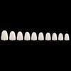 NavaFresh Basics 70 Pieces Dental Temporary Crown Veneers Anteriors Front Resin Teeth view 2