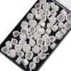NavaFresh Basics 50 Pieces Dental Temporary Crown Veneers Molar Resin Teeth view 2