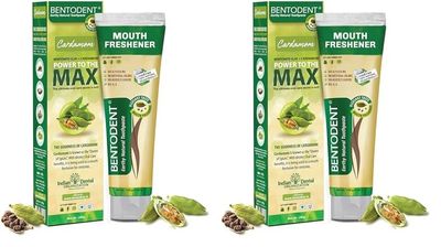 BENTODENT TOOTHPASTE Flouride-free Natural Cardamom Enamel Protection Toothpaste, 100 gm (Pack of 2)