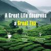 Anant High Grown Assam Tea Mast | Bold Flavor & Rich Aroma | Perfect for Strong Milk Chai & Refreshing Black Tea | 250g Pack view 4