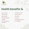 Bionode Organics Certified Organic Amla Powder  Rich in Vitamin C | Antioxidant Support | Enhances | No Chemicals or Preservatives | 100g x 2 Pack view 4