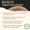 Topscorner Nagarmotha Powder, 100 Grams Pack view 2