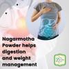 Topscorner Nagarmotha Powder, 100 Grams Pack view 3