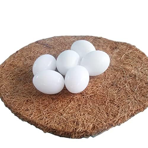 Fake Pigeon Eggs for Hatch Incubation Breeding Solid Small White Eggs (Pack of 5 Pcs)