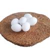 Fake Pigeon Eggs for Hatch Incubation Breeding Solid Small White Eggs (Pack of 5 Pcs) view 1