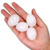 Fake Pigeon Eggs for Hatch Incubation Breeding Solid Small White Eggs (Pack of 5 Pcs) view 2