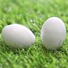 Fake Pigeon Eggs for Hatch Incubation Breeding Solid Small White Eggs (Pack of 5 Pcs) view 3