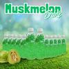 Basil Delight Flavored Drink with Basil Seed,Flavored Fruit drink, Ready to Serve Drink (250ml pack of 12, Muskmelon) view 2