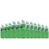 Basil Delight Flavored Drink with Basil Seed,Flavored Fruit drink, Ready to Serve Drink (250ml pack of 12, kiwi) view 1