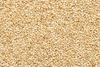 SatvaDaily Roasted Til | 800g | Roasted Sesame Seeds for Eating view 3