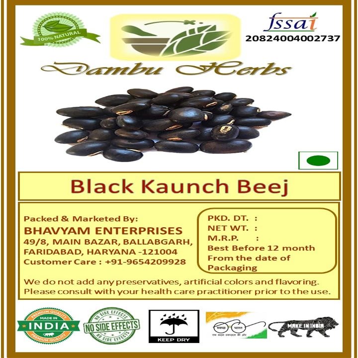 Dambu Herbs Kaunch Black Kapikachhu munakka kaunch beej Cowitch Seed - 800 Gms