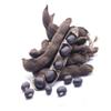 Dambu Herbs Kaunch Black Kapikachhu munakka kaunch beej Cowitch Seed - 800 Gms view 4