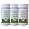 Dhanwantri Amla Churan - 100g | (Premium Amla Powder for Detox & Health | Pack of 3, 300, gram) view 1